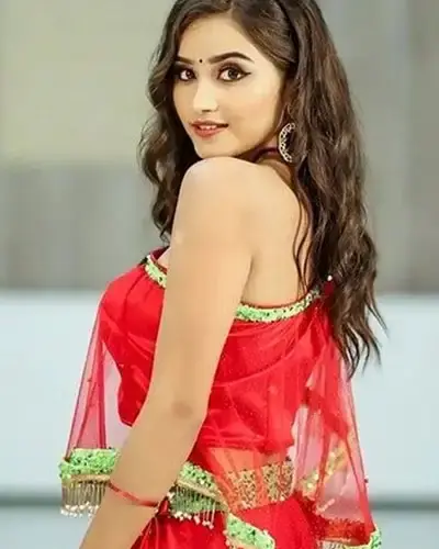 Escort In Malkangiri